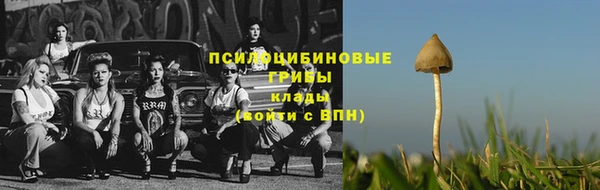 бошки Аркадак