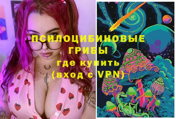 бошки Аркадак