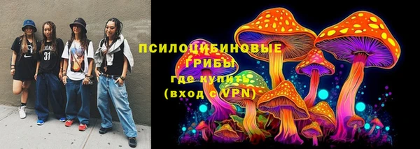 бошки Аркадак