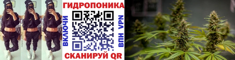 Канабис марихуана  блэк спрут как войти  Инта 